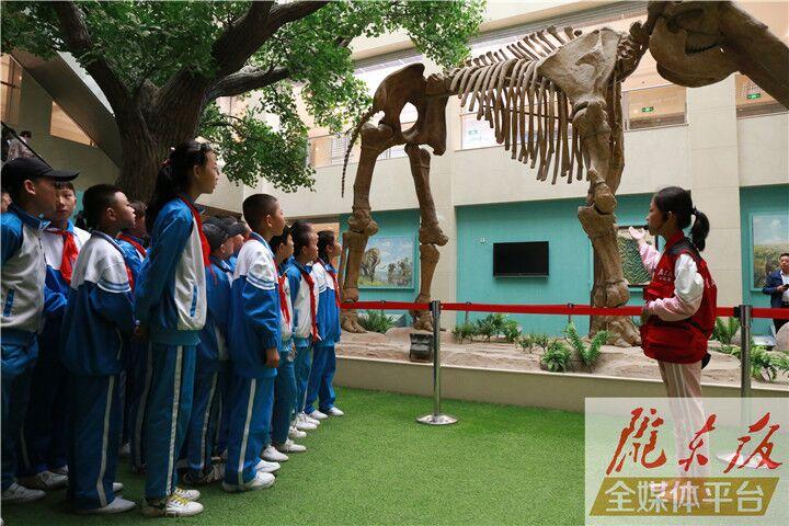 【第一眼】慶陽市博物館開展多項活動慶?！?·18國際博物館日”