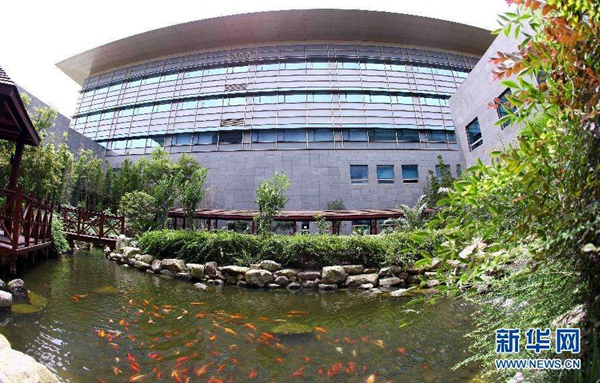 【防疫科普】如何利用園藝療法保持復(fù)工后身心健康？