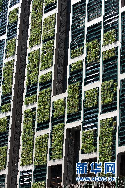 【防疫科普】如何利用園藝療法保持復(fù)工后身心健康？