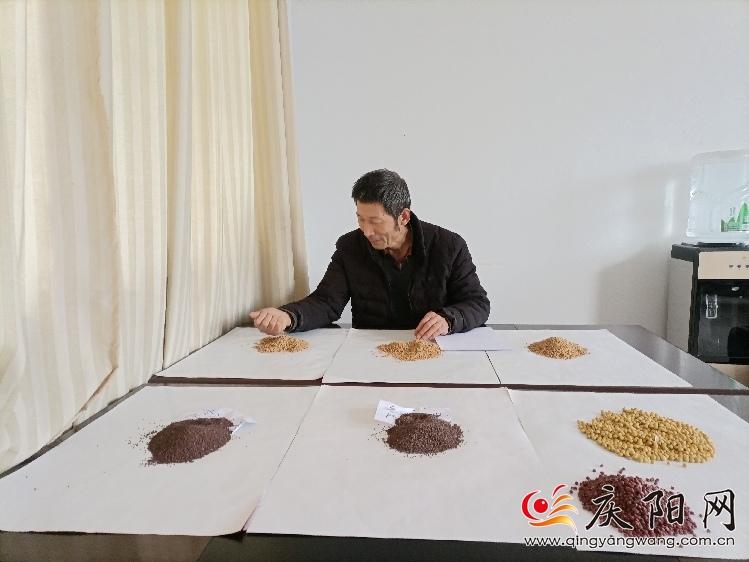 羅盤(pán)在整理自己育種的品種 羅盤(pán)在整理自己育種的品種