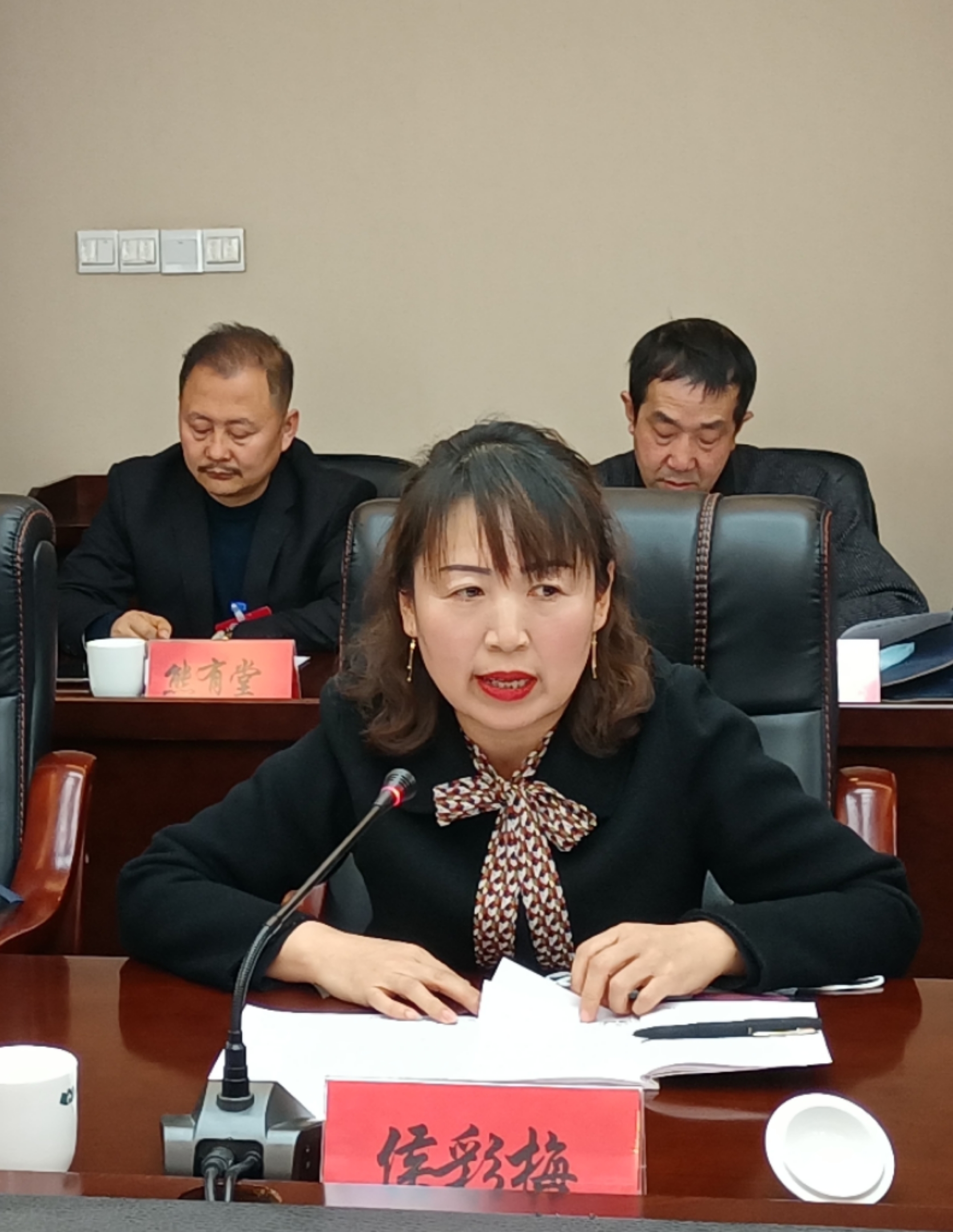 侯彩梅委員在討論發(fā)言時(shí)就規(guī)范農(nóng)村中小學(xué)體育教學(xué)提出了建議。