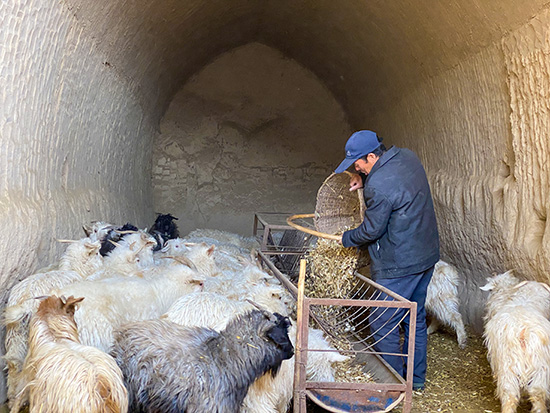 【新春走基層】從貧困戶到“致富帶頭人”，6年間他的生活迎來(lái)巨變！