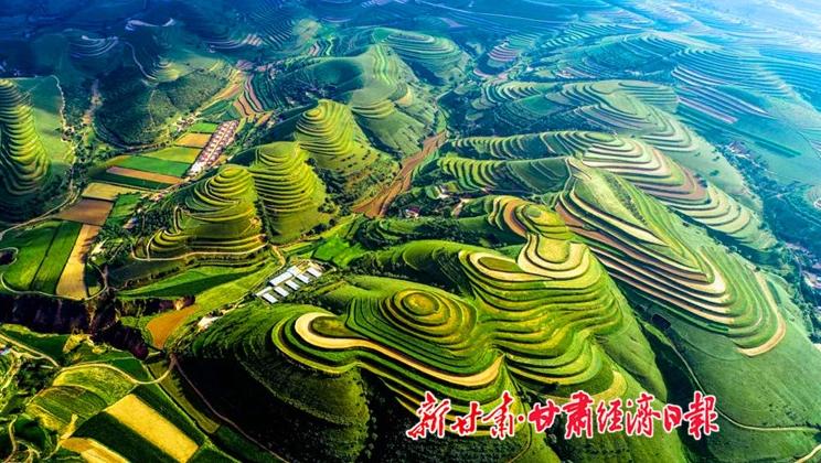 “羊”名立萬正當(dāng)時——環(huán)縣念羊經(jīng)、興羊業(yè)、發(fā)羊財促進(jìn)鄉(xiāng)村振興發(fā)展