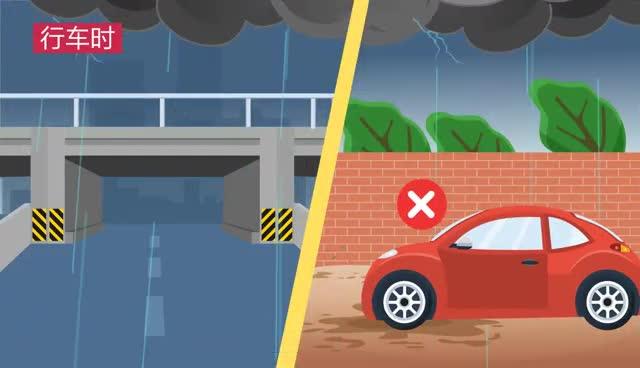 【MG動(dòng)畫】一起來學(xué)《反有組織犯罪法》！