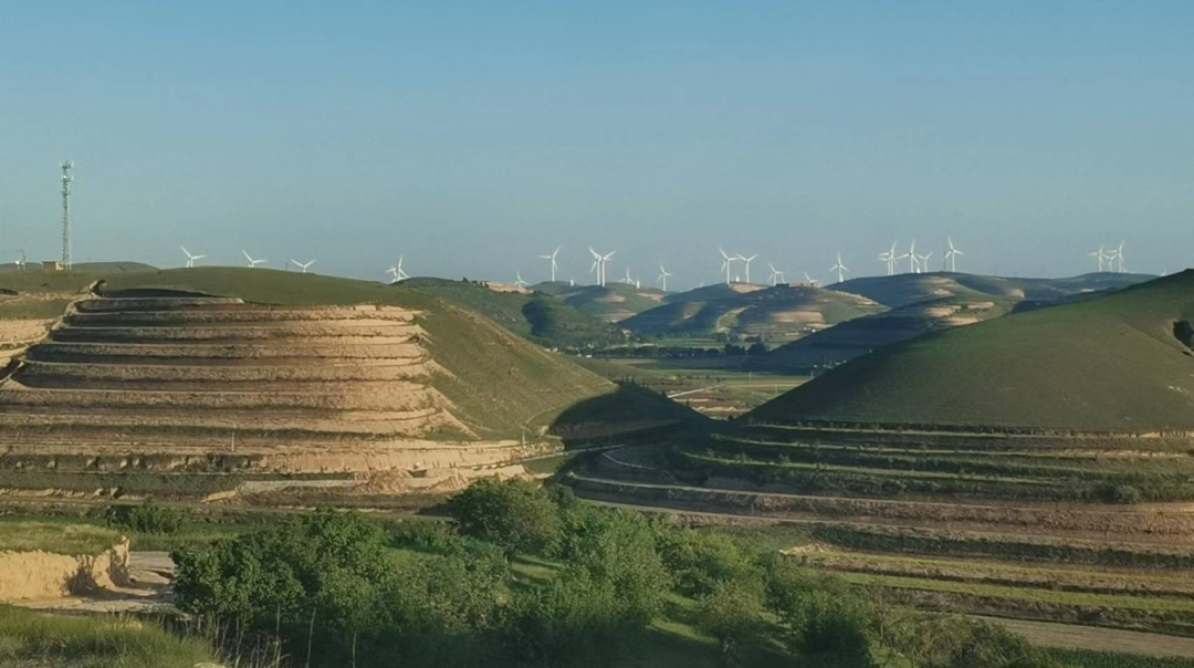 王玉琴 | 美“味”毛井