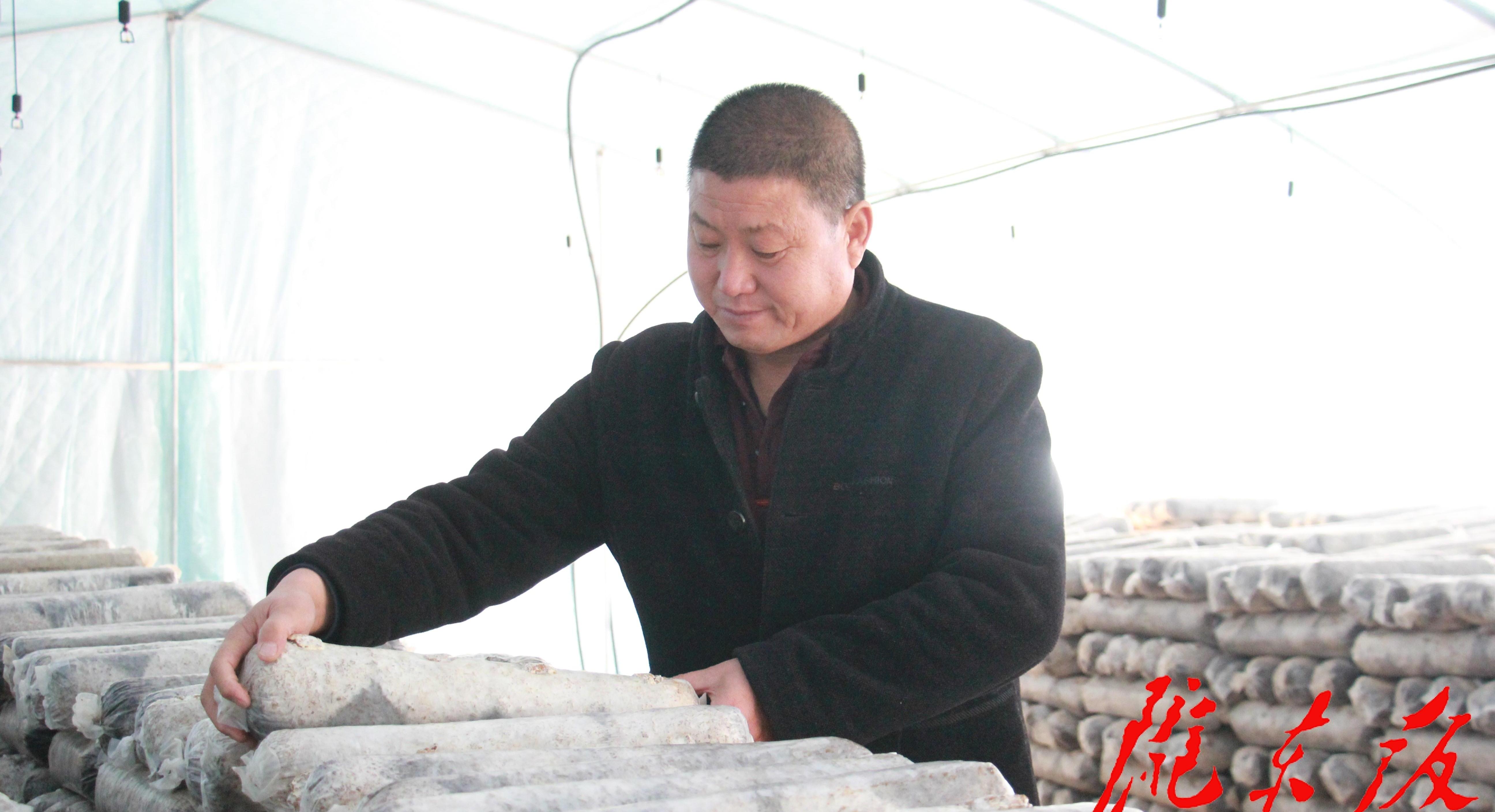 【新春走基層】菌菇基地門前建 務工收入無需愁