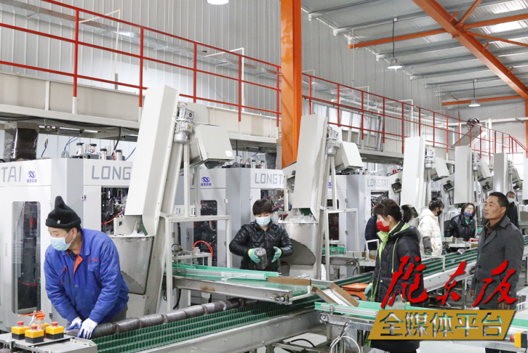 慶陽黑木耳菌種選育基地位于西峰區(qū)彭原鎮(zhèn)鄢旗坳村現(xiàn)代農(nóng)業(yè)產(chǎn)業(yè)園，占地56243平方米，總投資1.3億元，計劃分兩期實施。圖為黑木耳菌種全自動、一體化生產(chǎn)線。本報記者 馬小隆 攝