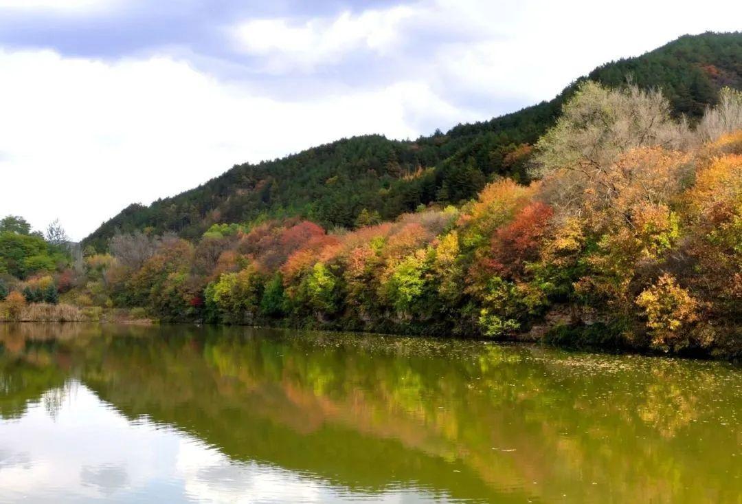 初冬，子午嶺上斑斕多姿，漫瀉大地
