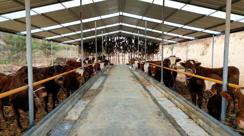 0aa1080911a69b603e516b06b1173487_73bb5e11aa334f96a768bf1107d01b8f.jpg 0aa1080911a69b603e516b06b1173487_73bb5e11aa334f96a768bf1107d01b8f.jpg