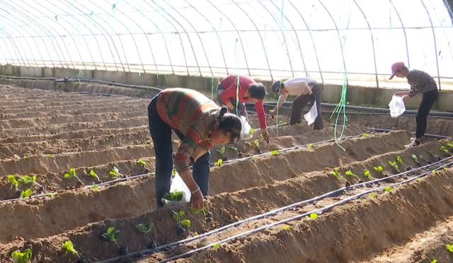 01573926fdc9827293f03b6e044fc7fb_3b544dff10af4db5b128095e0f55870c.png 01573926fdc9827293f03b6e044fc7fb_3b544dff10af4db5b128095e0f55870c.png