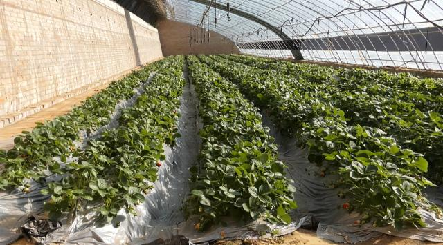 8cd36ccc5c769175a5c9ddeb3c793638_1b554ae012d34fa895147f79d021f3c1.png 8cd36ccc5c769175a5c9ddeb3c793638_1b554ae012d34fa895147f79d021f3c1.png