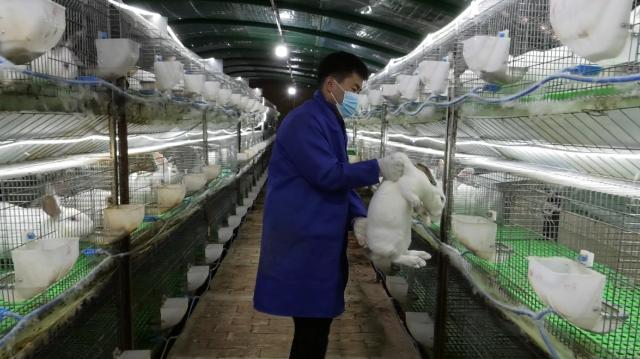 9014bda9c5fda9e23c74c6d6d71351bf_14eb032150f343e28d2d99e84a67b3e7.png 9014bda9c5fda9e23c74c6d6d71351bf_14eb032150f343e28d2d99e84a67b3e7.png