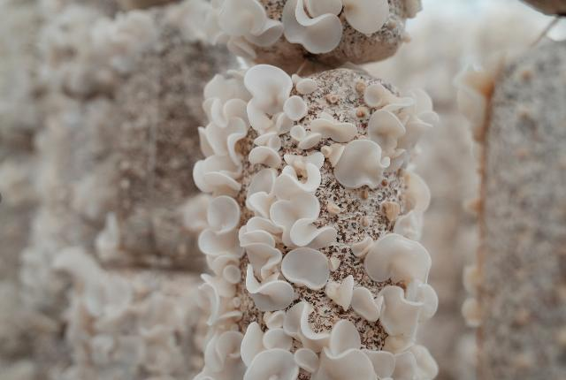 59f0758386efd38f2e3c246c5dfcd071_60c2c172b8084b3eb07dfaf4a12deae5.png 59f0758386efd38f2e3c246c5dfcd071_60c2c172b8084b3eb07dfaf4a12deae5.png