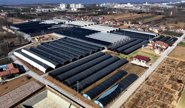 97477f2ac44b8ee4bbae1a54581feff4_5802d3859a4747faaf5b5130a4ec6b58.png 97477f2ac44b8ee4bbae1a54581feff4_5802d3859a4747faaf5b5130a4ec6b58.png