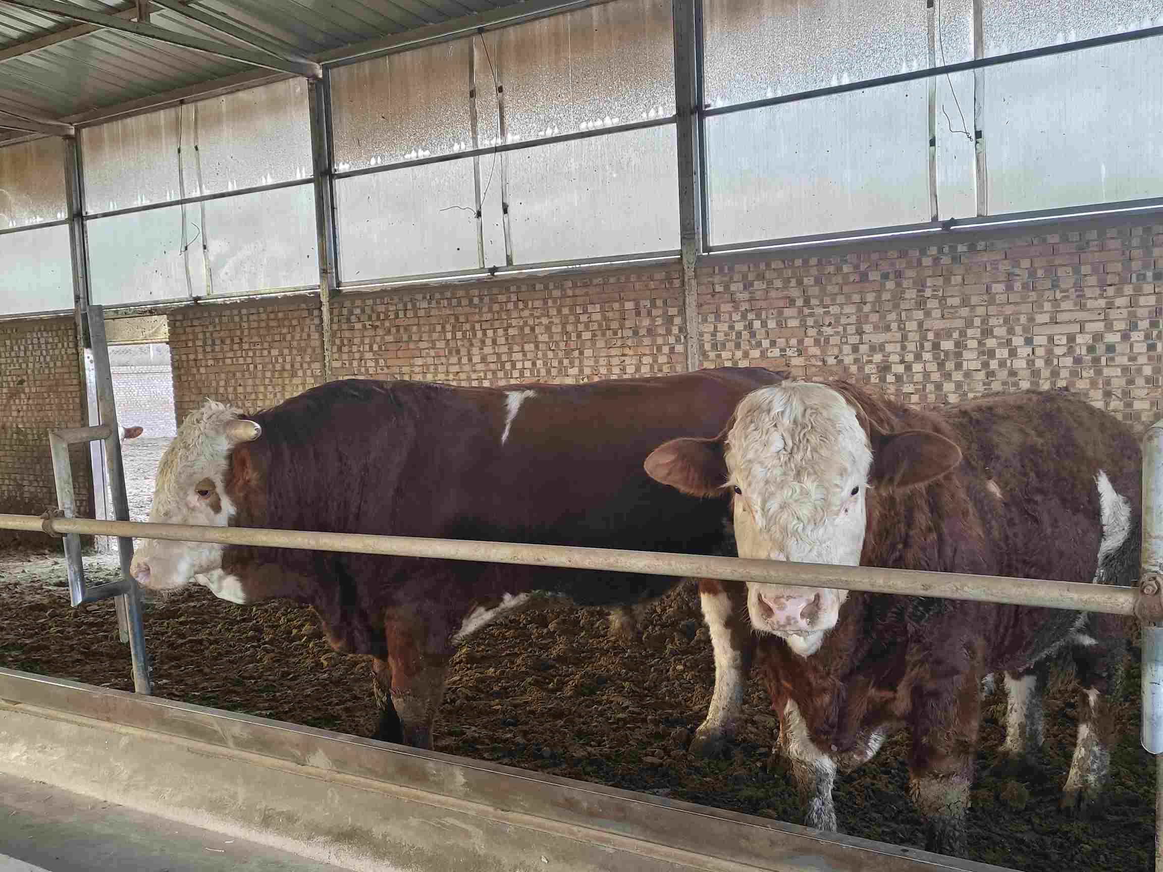 d77ffcce4a3ea23fd5b2627bae6e9608_c5b46af4109c49b0b2e9bd3edfb3e1a9.jpeg d77ffcce4a3ea23fd5b2627bae6e9608_c5b46af4109c49b0b2e9bd3edfb3e1a9.jpeg