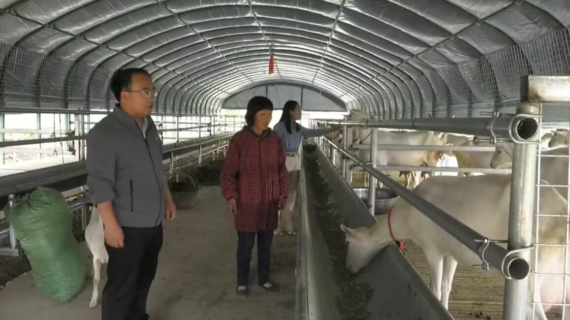 02ff0c09b125a2a418aa45aa8280514d_8f8a025dd9da40d8b4a7e33d390d4ad2.jpeg 02ff0c09b125a2a418aa45aa8280514d_8f8a025dd9da40d8b4a7e33d390d4ad2.jpeg