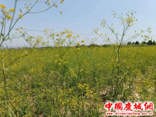 377aea3c718dd8d107defd0a86072bdd_dbfb4e3bd04b4c47a7d7153d68e0cbc5.png 377aea3c718dd8d107defd0a86072bdd_dbfb4e3bd04b4c47a7d7153d68e0cbc5.png