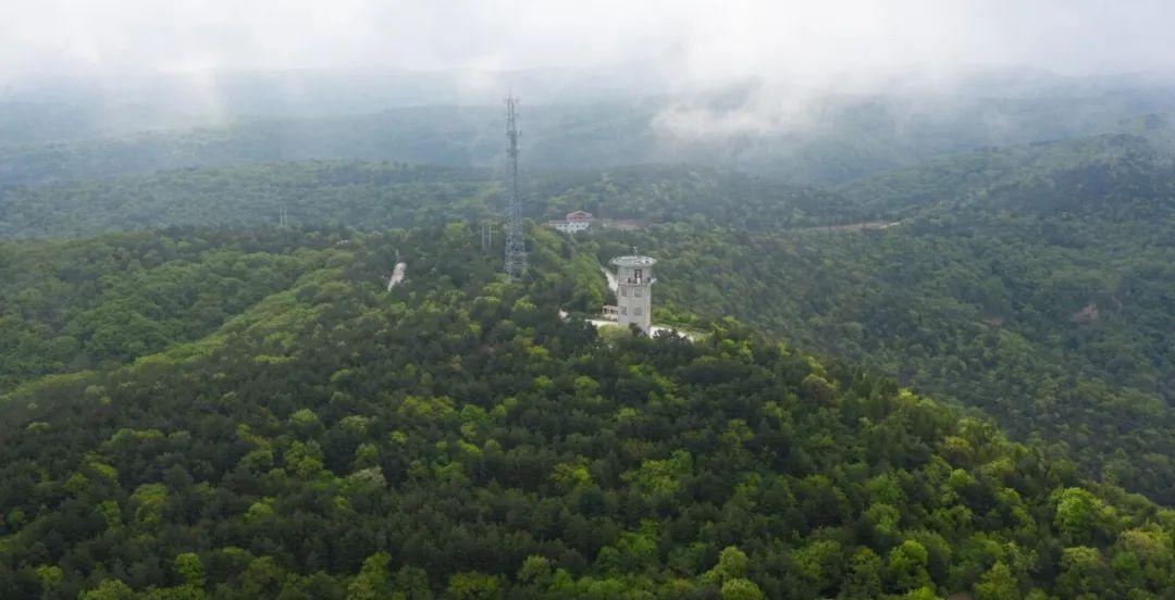 以慶陽夏天的名義，我們____