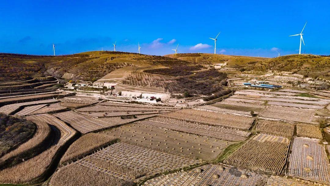 環(huán)縣: 滿地盡披“黃金甲” 93萬(wàn)畝玉米喜獲豐收