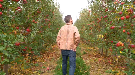 【視頻】“外國(guó)人看慶陽(yáng)”系列短視頻之“慶陽(yáng)蘋(píng)果香”