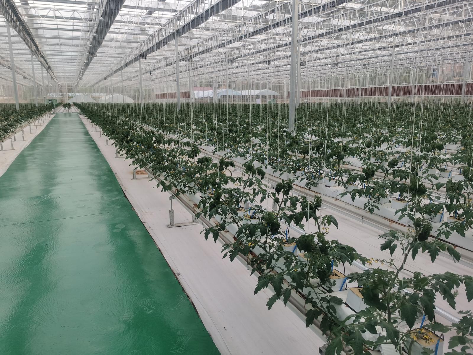 鎮(zhèn)原：招商引資拉動縣域經(jīng)濟(jì)高質(zhì)量發(fā)展