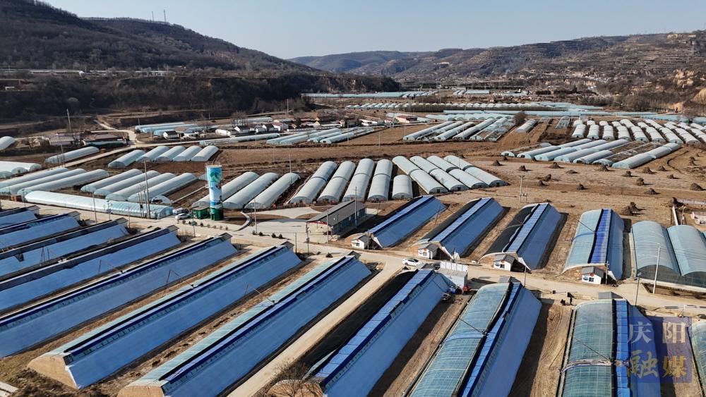 【新春走基層·攝影報道】合水：春未到，春已濃