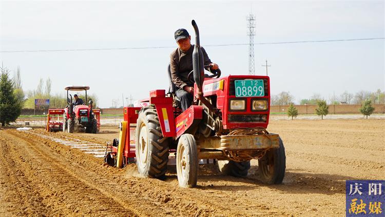 今年地咋種？來看權(quán)威指導(dǎo)——2025年慶陽(yáng)市春播主要農(nóng)作物品種布局指導(dǎo)意見出臺(tái)