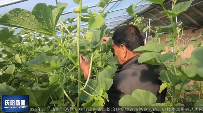 《慶陽新聞》2025年2月22日