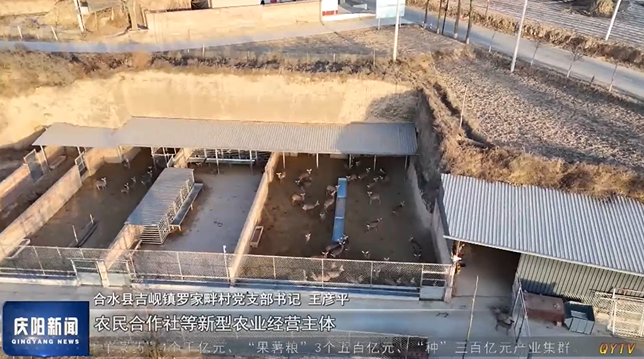 《慶陽新聞》 2025年3月6日