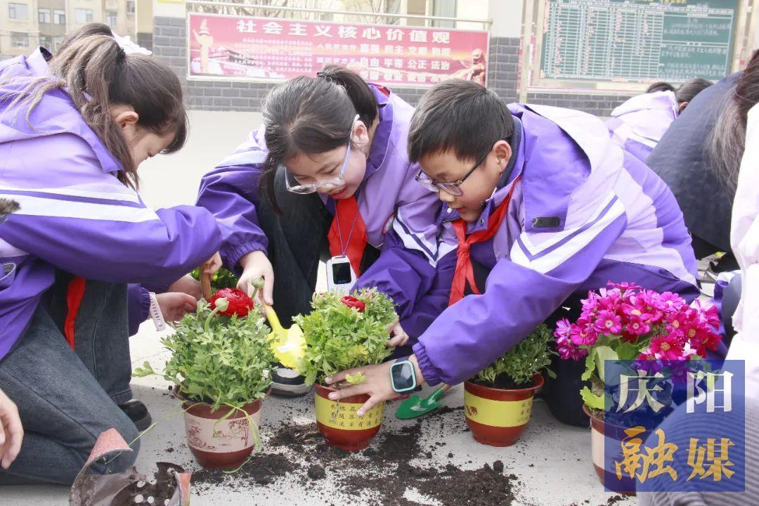 【點亮美好教育】“植”此青綠 共赴春天 西峰區(qū)新建小學(xué)開展植樹節(jié)主題活動