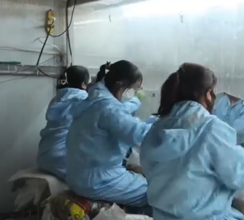 《慶陽(yáng)新聞》2025年3月25日