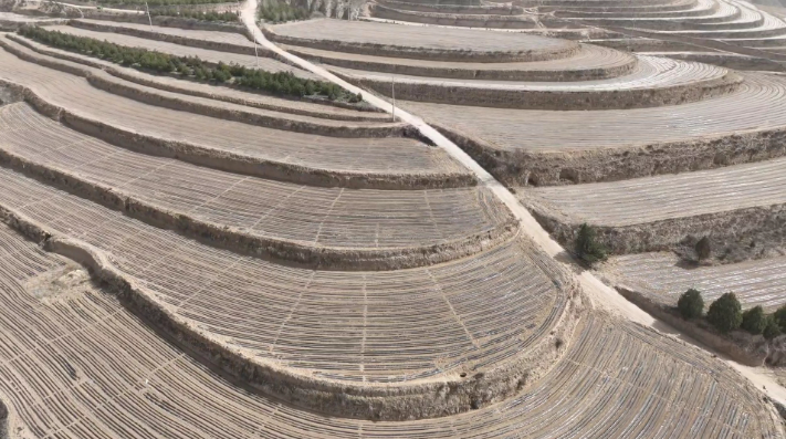 鎮(zhèn)原縣殷家城鄉(xiāng)：頂凌覆膜正當時 春耕備耕搶先機