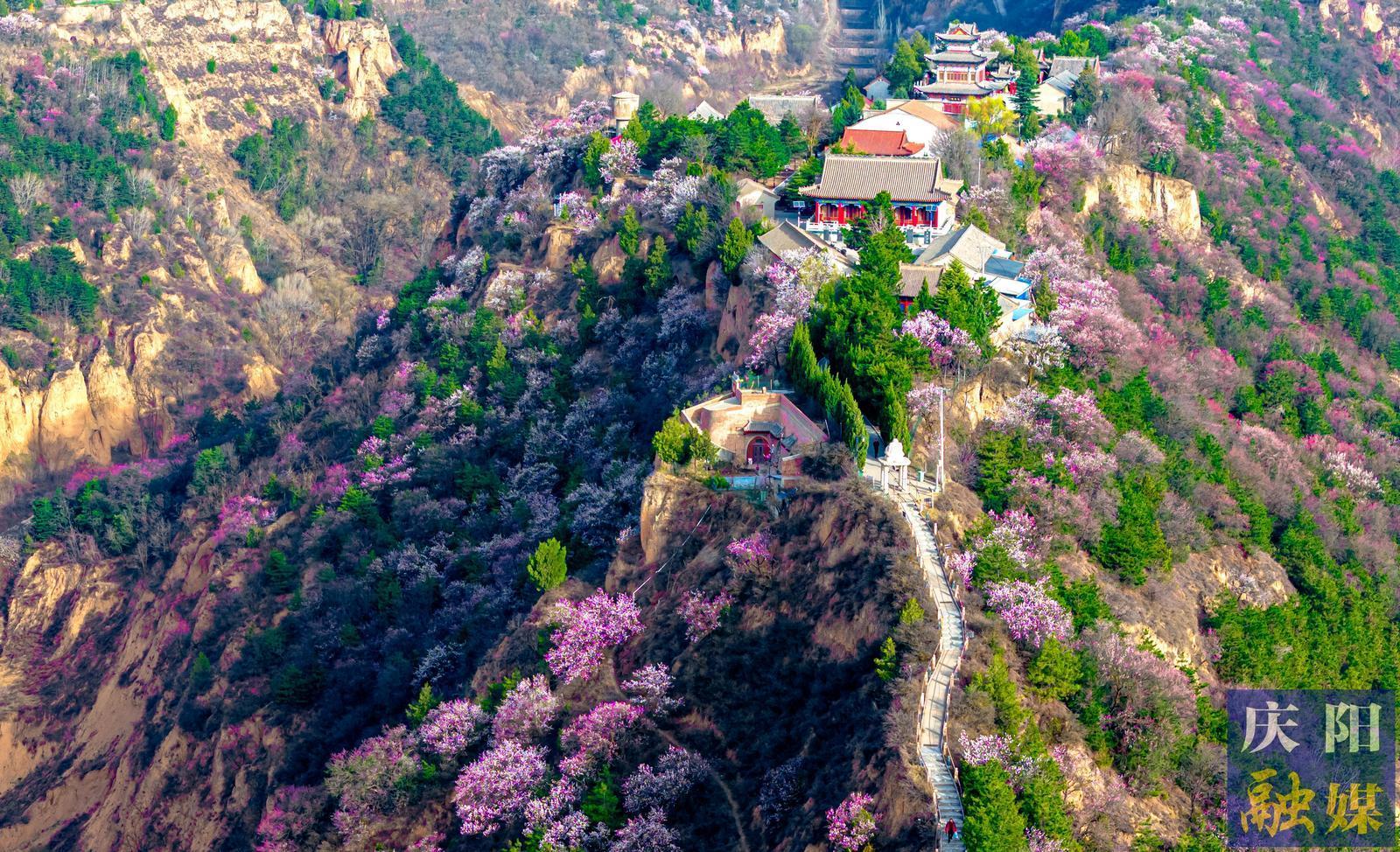 【攝影報(bào)道】遍地春色濃 踏青正當(dāng)時(shí)