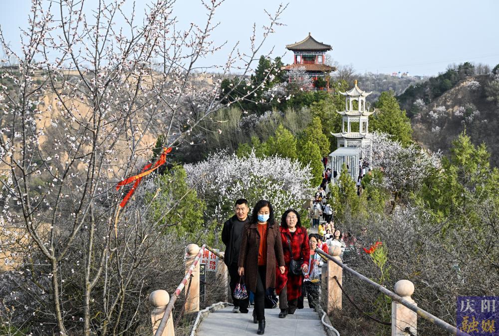 【攝影報(bào)道】春和景明 踏青賞春