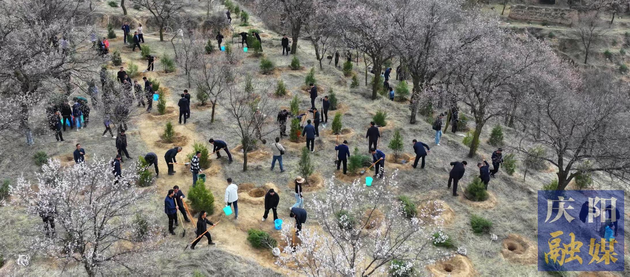 慶陽市市級機關(guān)義務(wù)植樹活動在西峰區(qū)舉行
