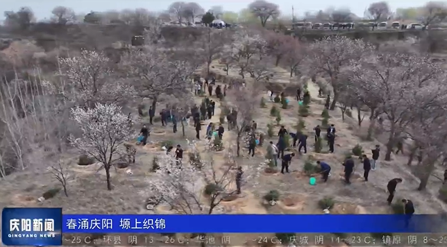 《慶陽新聞》2025年4月14日