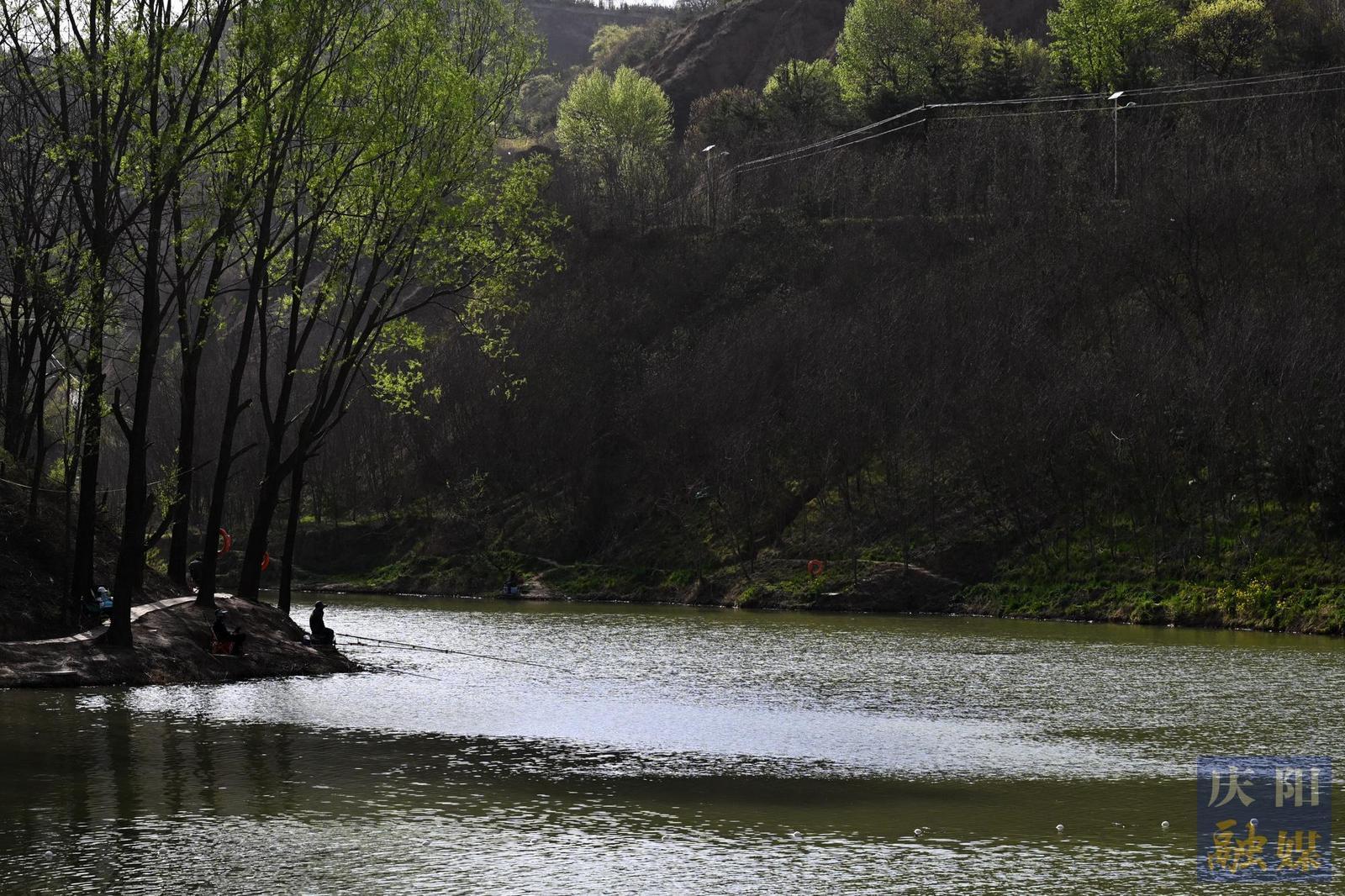 【春涌慶陽 塬上織錦】帳篷下的煙火氣 田野間的新希望 ——西峰區(qū)農(nóng)文旅融合帶火春日鄉(xiāng)村游
