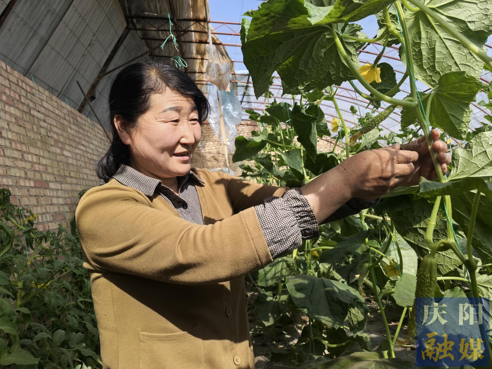 【春涌慶陽　塬上織錦】慶城玄馬鎮(zhèn)：立足產(chǎn)業(yè)優(yōu)勢  打造綠色田園小鎮(zhèn)