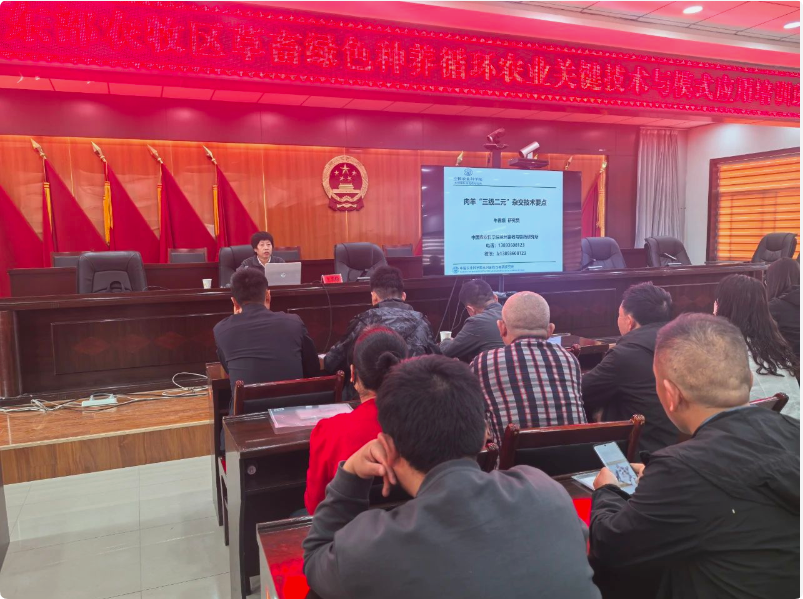 QQ_1746583617559.png QQ_1746583617559.png