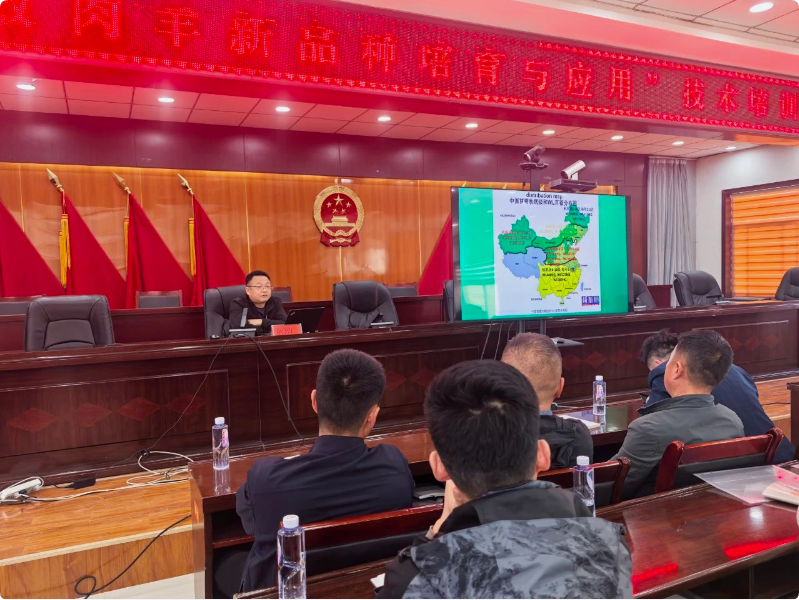 QQ_1746583655592.png QQ_1746583655592.png