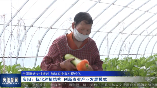 《慶陽(yáng)新聞》2025年5月13日