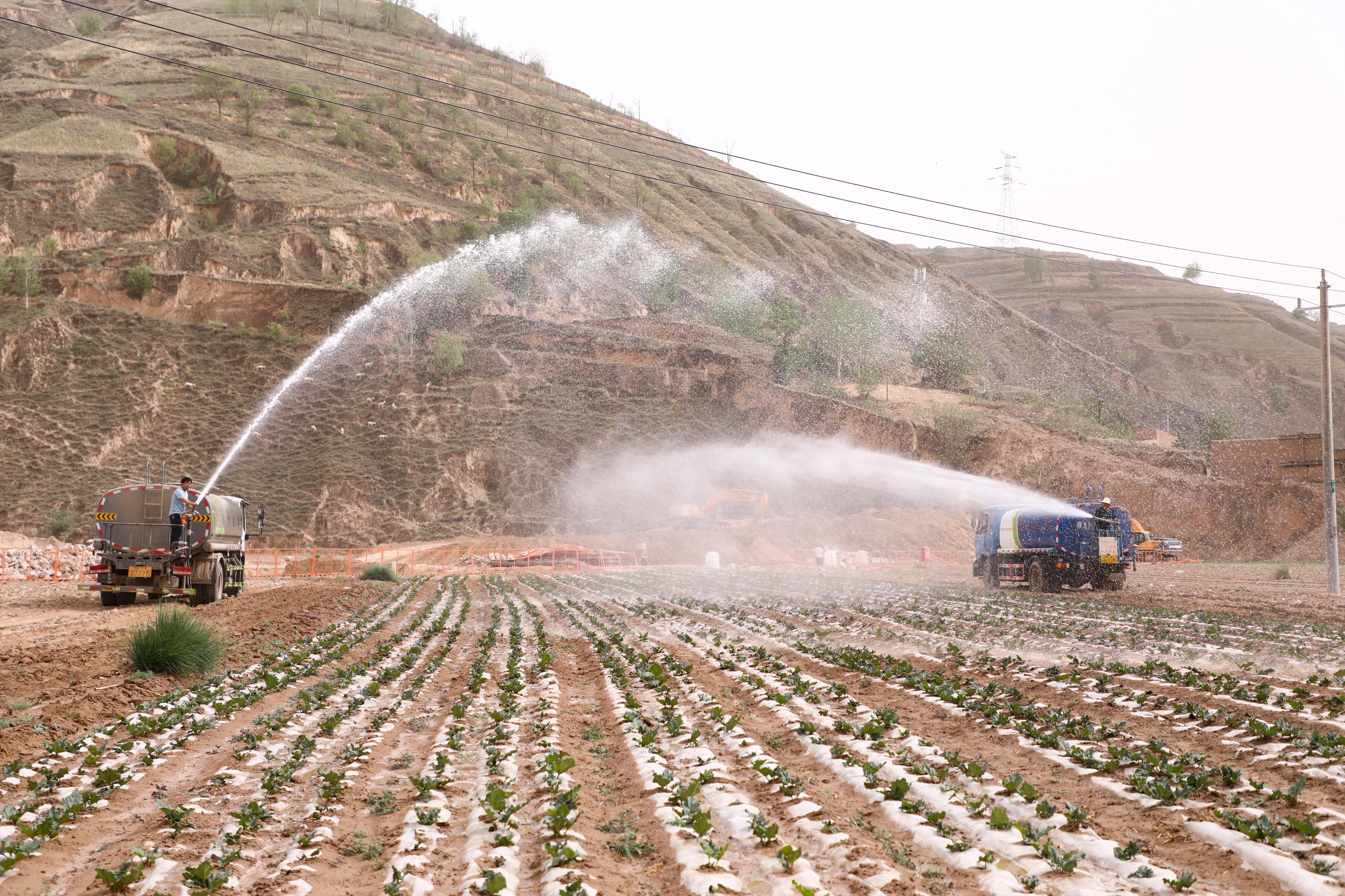 抗旱一線黨旗紅——環(huán)縣各級黨組織全心全力抗旱救災(zāi)