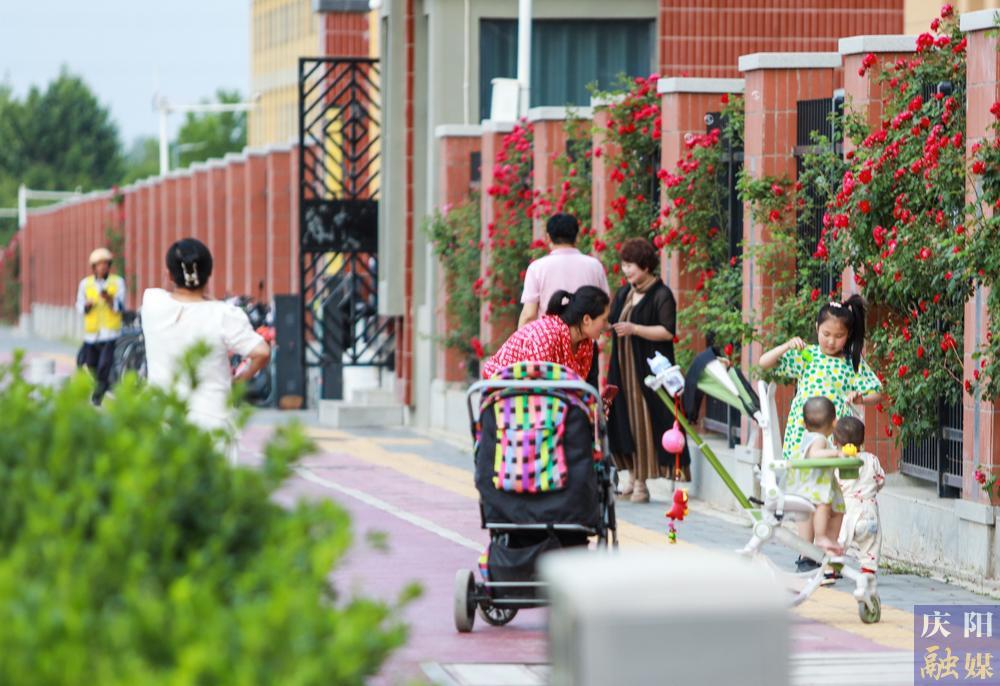 【攝影報(bào)道】薔薇花開(kāi)！邂逅夏日的浪漫