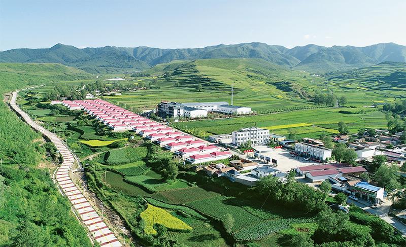 習(xí)近平關(guān)切的圓夢工程 讓“干坡坡”變“金窩窩”