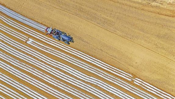 【鄉(xiāng)村振興】環(huán)縣：搶抓墑情忙夏種