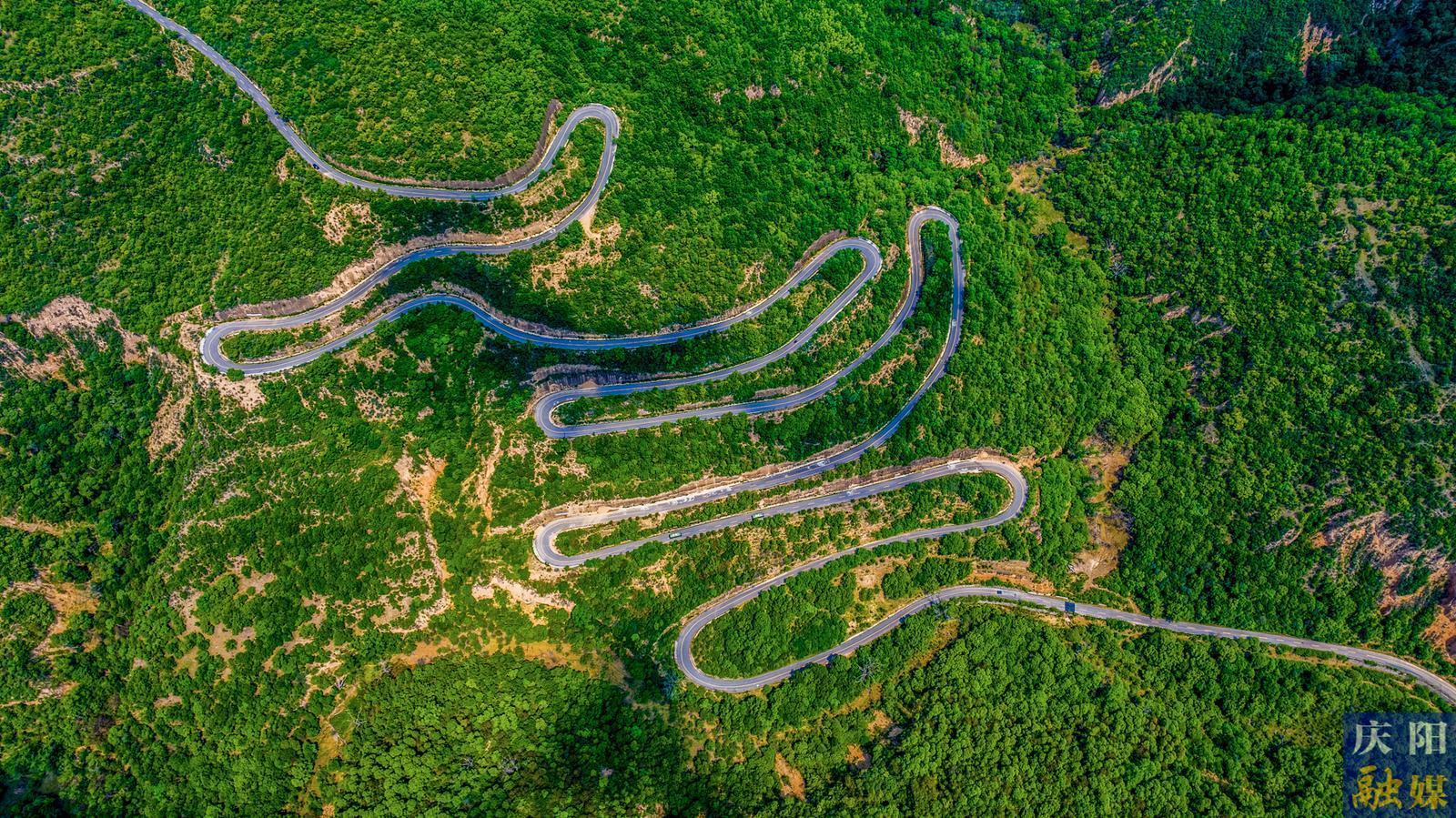 【攝影專題】慶陽盛夏：生態(tài)畫卷徐徐鋪展