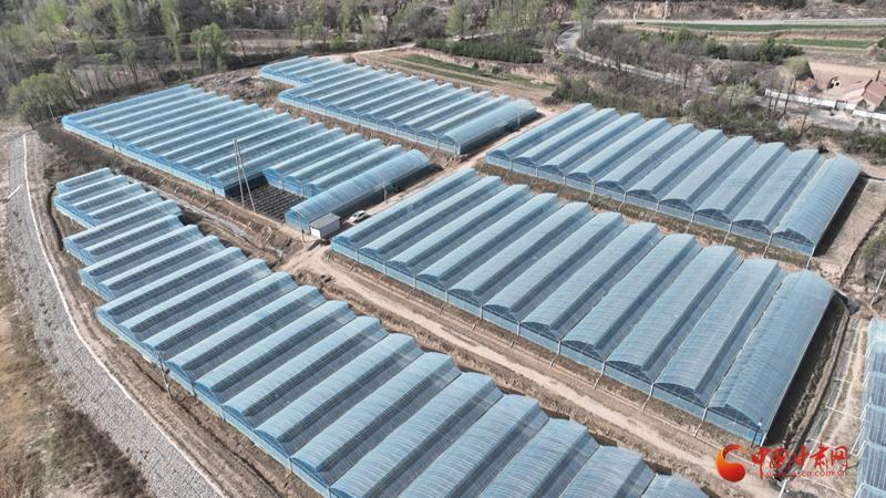 鎮(zhèn)原：重點項目齊頭并進 夏季施工熱潮涌動