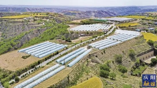【慶陽·縣區(qū)觀察】環(huán)縣：從“靠天吃飯”到“科技興農(nóng)”