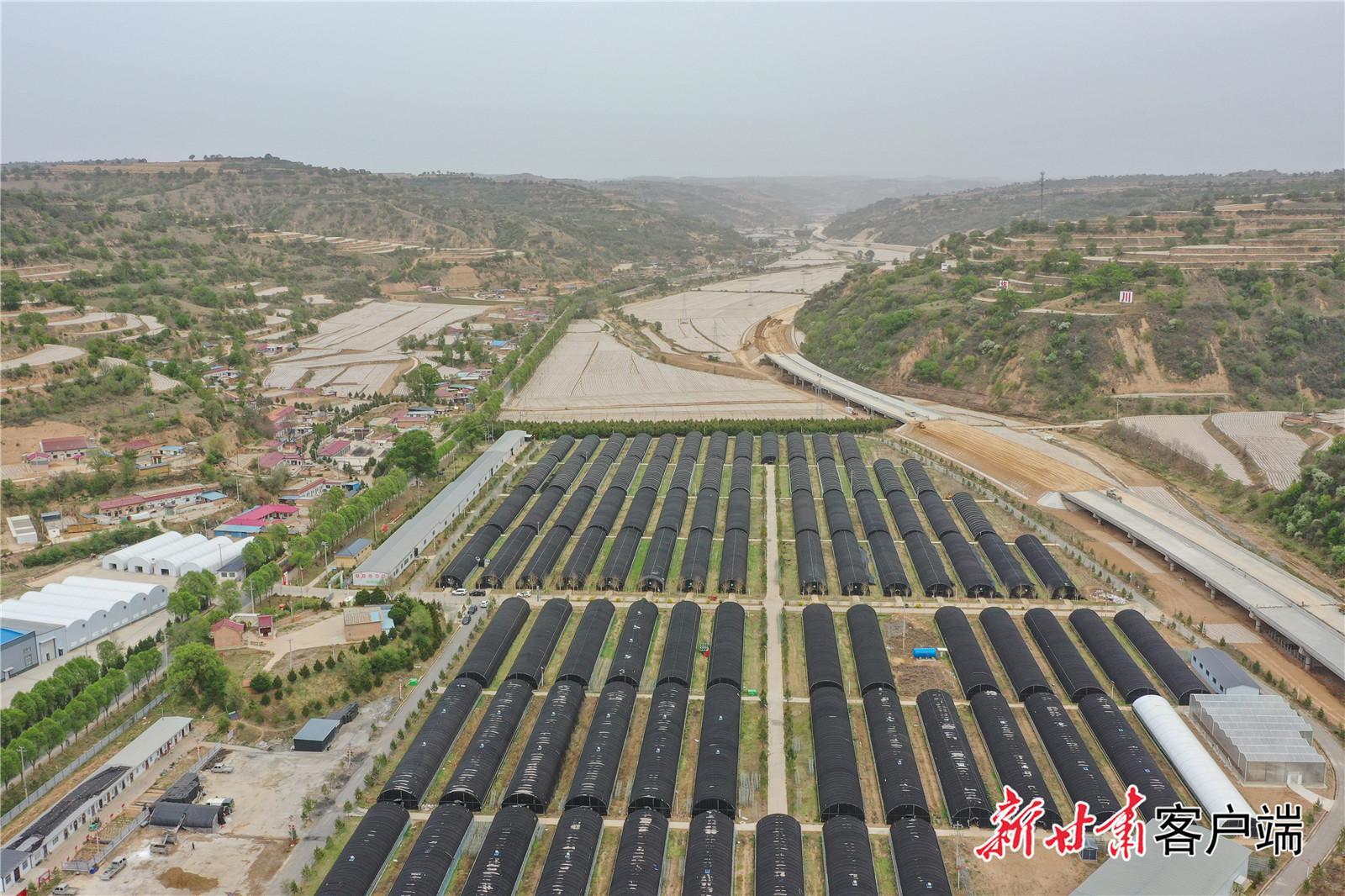 【強(qiáng)信心 看發(fā)展·高質(zhì)量發(fā)展調(diào)研行】奏響農(nóng)業(yè)可持續(xù)發(fā)展新樂章——慶陽市 “三元雙向” 循環(huán)農(nóng)業(yè)模式觀察