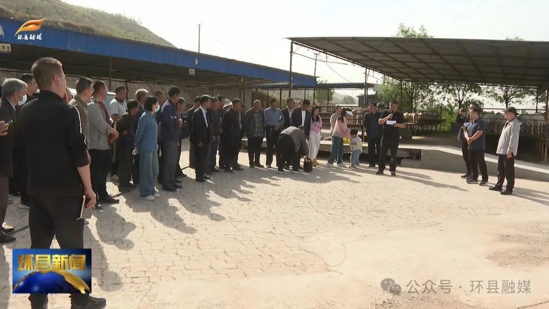 隴原人才基層行畜牧專家為環(huán)縣羊產(chǎn)業(yè)“開良方”“賦新能”